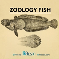 main language Zoology: Fish book