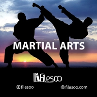 main language Martial Arts book