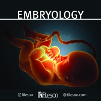 main language Embryology book