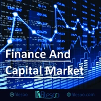 main language Finance and capital market book