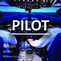 main language Pilot book