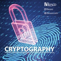 main language Cryptography book