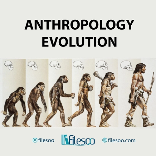 Anthropology: Evolution Original Books and ebook