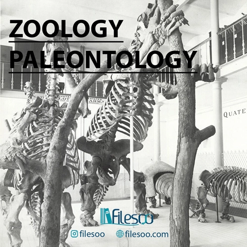 Zoology:Paleontology Original Books and ebook