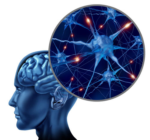 مقاله MS: a CNS and systematic autoimmune disease