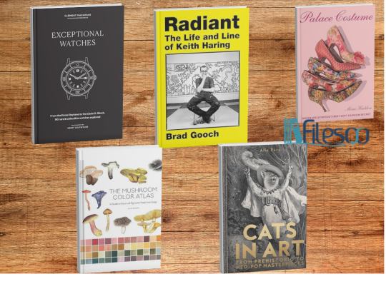 Barnes & Noble's Best Gifting Books of 2024