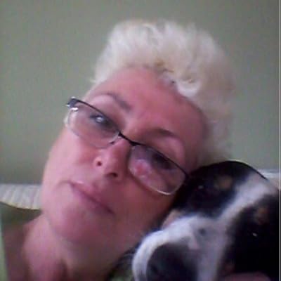 روت هوگان کتاب تهی کییپیر وف لوست تهینگس