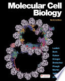 Molecular Cell Biology