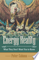 Energy Reality