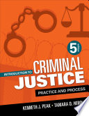Introduction to Criminal Justice