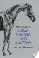 Animal Painting & Anatomy