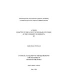Trauma Exposure, Post-traumatic Symptoms and Identity in Adolescent Survivors of Massive Childhood Trauma