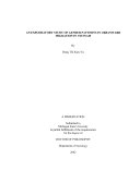 An Exploratory Study of Gender Patterns in Urbanward Migration in Vietnam