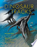 Dinosaur Tracks
