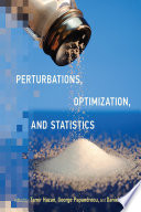 Perturbations, Optimization, and Statistics