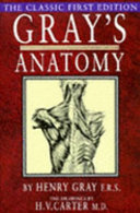 Anatomy, Descriptive and Surgical