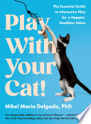 Play With Your Cat!