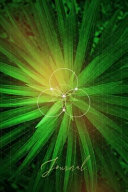 Sacred Geometry Journal