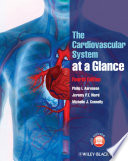 The Cardiovascular System at a Glance