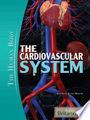 The Cardiovascular System