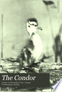 The Condor