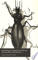Entomology for Beginners