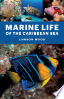 Marine Life of the Caribbean Sea