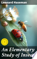 An Elementary Study of Insects