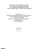 Molecular and Cellular Analysis of Cell Death and Drug Resistance by Controlled Expression of Genes that Influence Drug Actions Or Cell Death