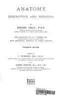 Gray's Anatomy