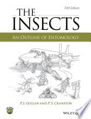 The Insects