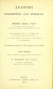 Anatomy, descriptive and surgical