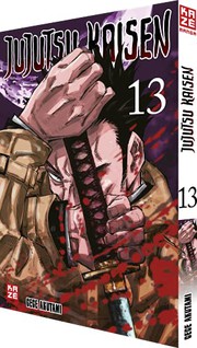 Jujutsu Kaisen, Vol. 13