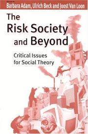 The risk society and beyond