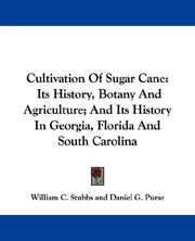 Cultivation Of Sugar Cane