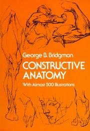 Constructive anatomy