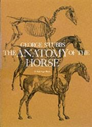 The anatomy of the horse