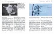 Animal physiology