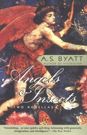 Angels & insects
