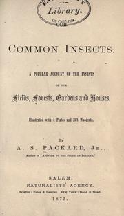 Our common insects
