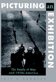 Picturing an exhibition