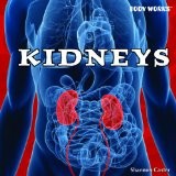Kidneys
