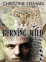 Burning Wild