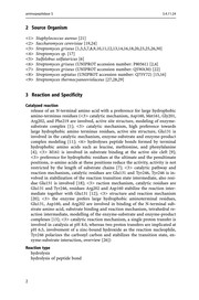 Class 3.4–6 Hydrolases, Lyases, Isomerases, Ligases