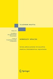 Sobolev Spaces