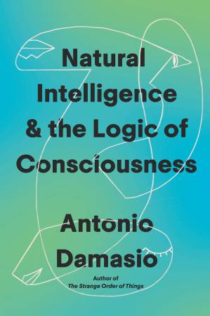 Natural Intelligence & the Logic of Consciousness