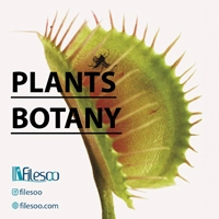 main language Plants: Botany book