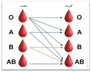 Blood groups