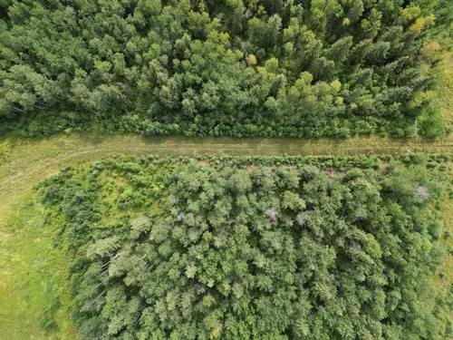 نسخه PDF کتب مهندسی جنگل‌داری (Silviculture) و منابع تخصصی زبان اصلی