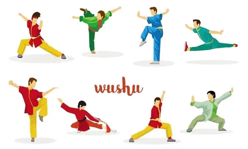 کتاب های مبانی ووشو (Wushu Basics) زبان اصلی و انگلیسی